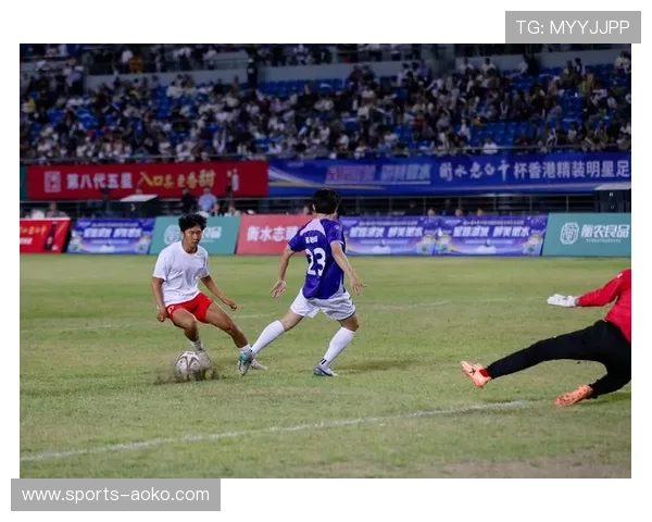 足球明星与球迷谁更具影响力与实力的深度探讨